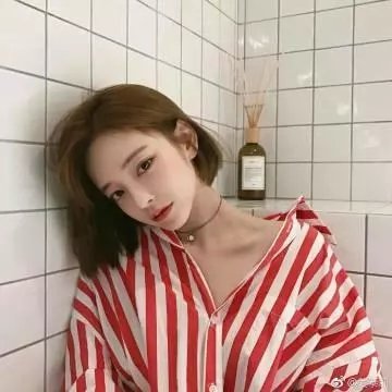 花与爱丽丝